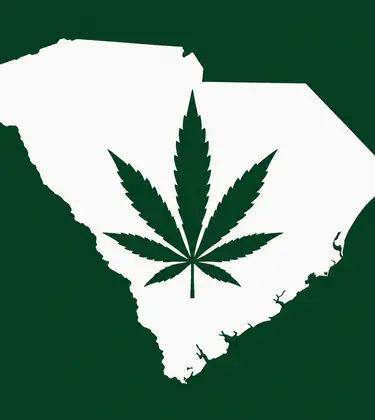 White silhouette of South Carolina on a dark green background, with a dark green cannabis leaf centered inside the state outline.