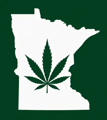 White silhouette of Minnesota on a dark green background, with a dark green cannabis leaf centered inside the state outline.