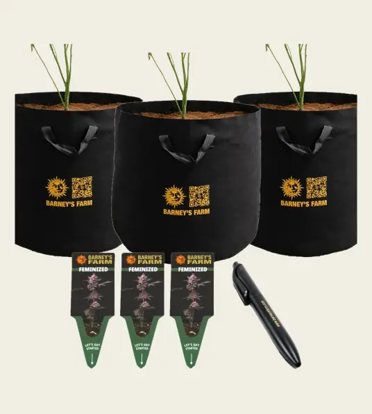 Barney's Farm Bag & Tag Kit, 10 Gallon - Feminized labels