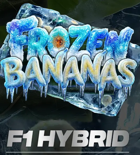 Frozen Bananas F1