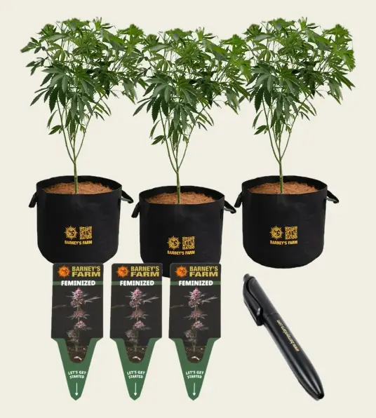 Barney's Farm Bag & Tag Kit, 5 Gallon - Feminized labels