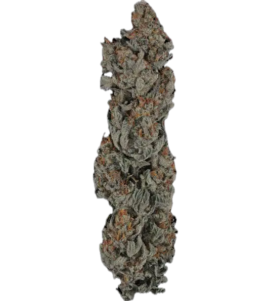 Toad Venom Clone Main Image