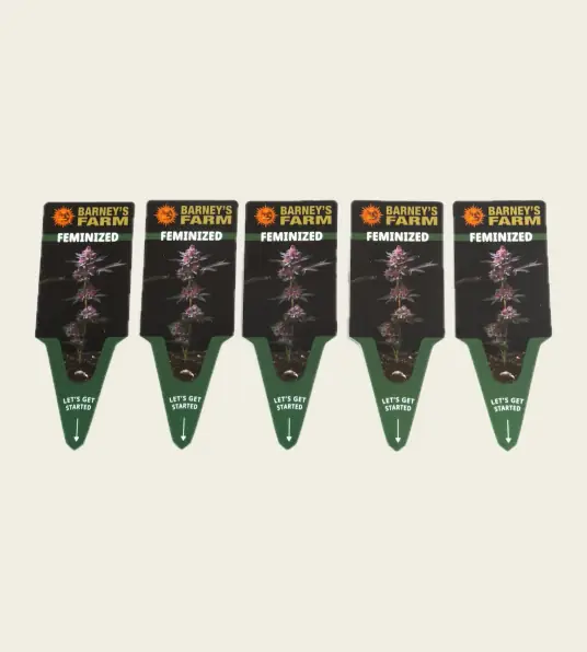 Feminized Plant Labels - Image 4
