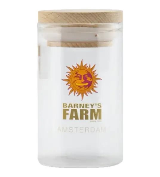 Glass Jars - Large - Main Image