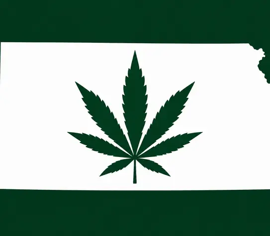 White silhouette of Kansas on a dark green background, with a dark green cannabis leaf centered inside the state outline.