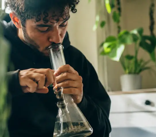 Cannabis Quality Tiers