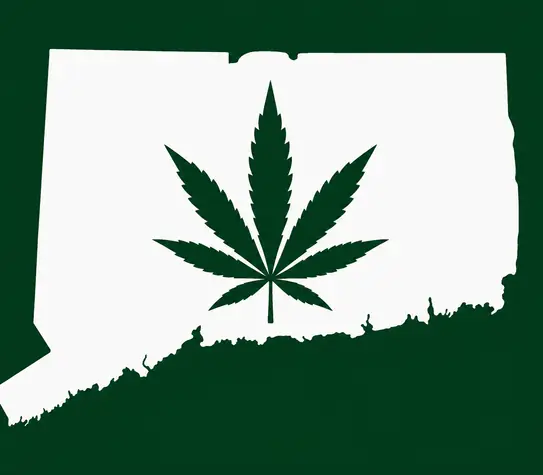 White silhouette of Connecticut on a dark green background, with a dark green cannabis leaf centered inside the state outline.