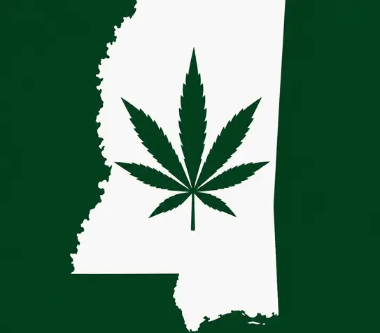 White silhouette of Mississippi on a dark green background, with a dark green cannabis leaf centered inside the state outline.