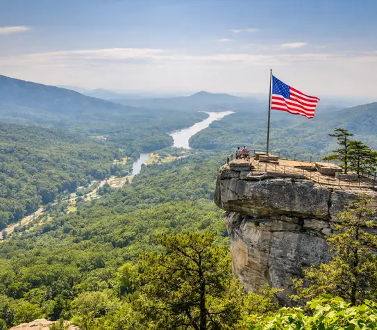 Weed in North Carolina