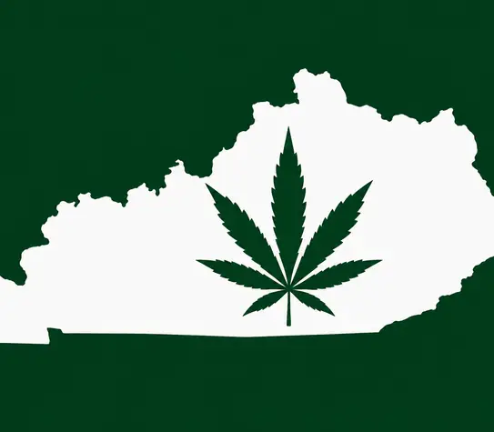 White silhouette of Kentucky on a dark green background, with a dark green cannabis leaf centered inside the state outline.