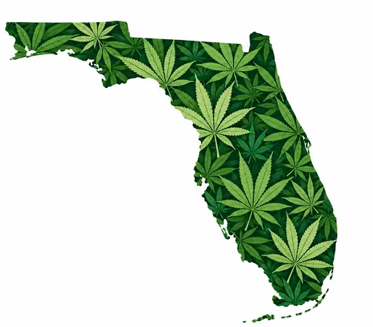 Florida state outline filled with a green cannabis leaf pattern on a white background.