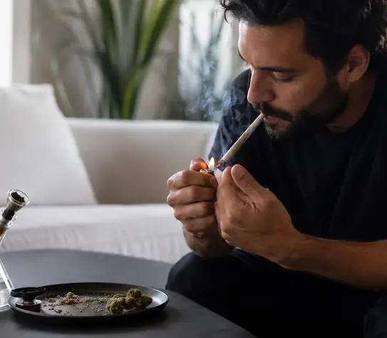 Strong Modern Weed