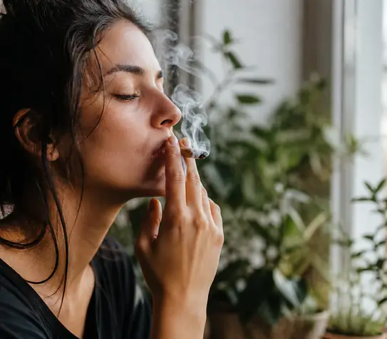 Endocannabinoid System