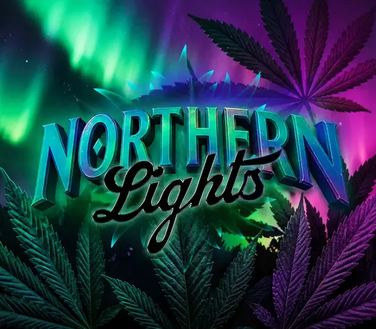 Northern Lights