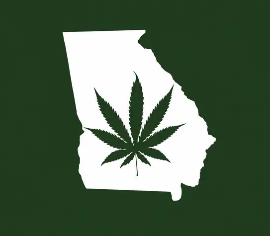 White silhouette of Georgia on a dark green background with a dark green cannabis leaf centered inside the state outline.