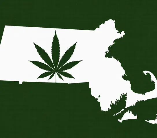 White silhouette of Massachusetts on a dark green background, with a dark green cannabis leaf inside the state outline.