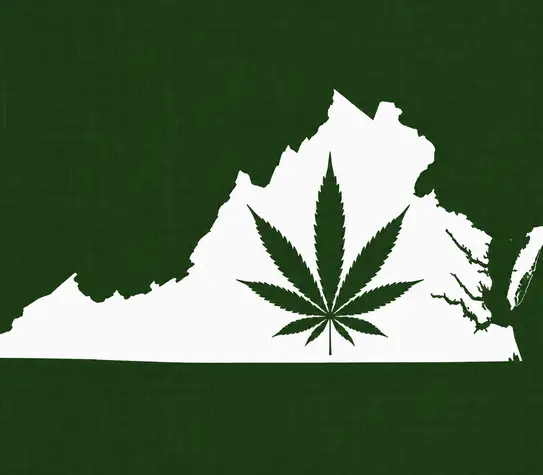 White silhouette of Virginia on a dark green background, with a dark green cannabis leaf centered inside the state outline.