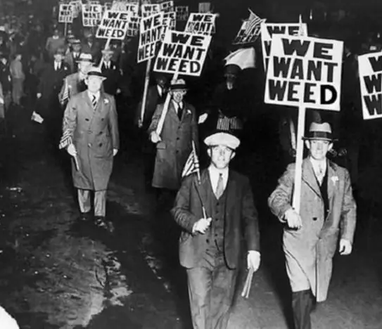 "We Want Weed" Protest photo
