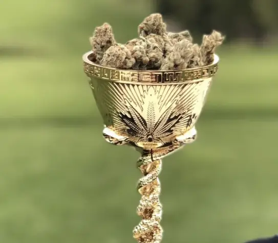 CANNABIS CUP