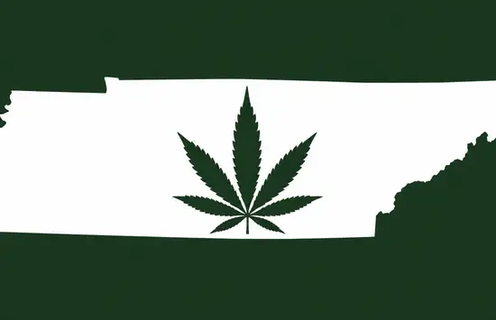 White silhouette of Tennessee on a dark green background, with a dark green cannabis leaf centered inside the state outline.