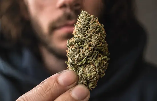Trichomes