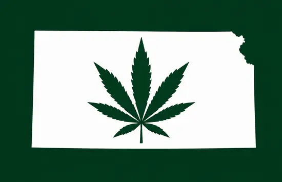 White silhouette of Kansas on a dark green background, with a dark green cannabis leaf centered inside the state outline.