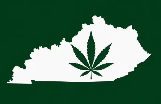 White silhouette of Kentucky on a dark green background, with a dark green cannabis leaf centered inside the state outline.
