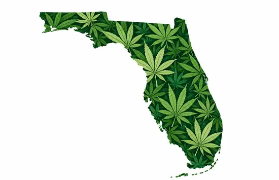 Florida state outline filled with a green cannabis leaf pattern on a white background.