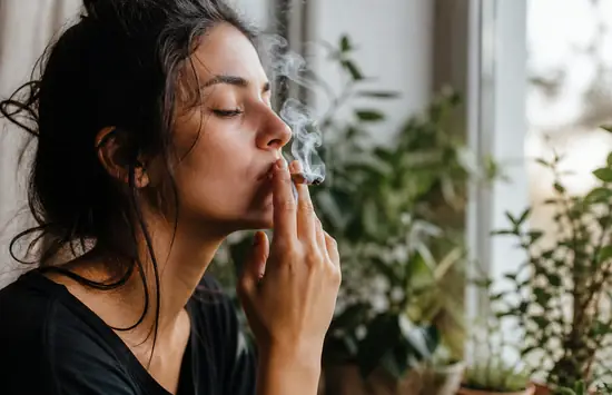 Endocannabinoid System