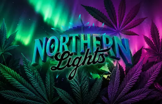 Northern Lights