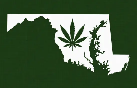 White silhouette of Maryland on a dark green background, with a dark green cannabis leaf centered inside the state outline.