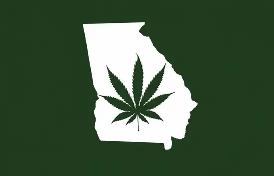 White silhouette of Georgia on a dark green background with a dark green cannabis leaf centered inside the state outline.