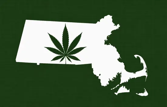 White silhouette of Massachusetts on a dark green background, with a dark green cannabis leaf inside the state outline.