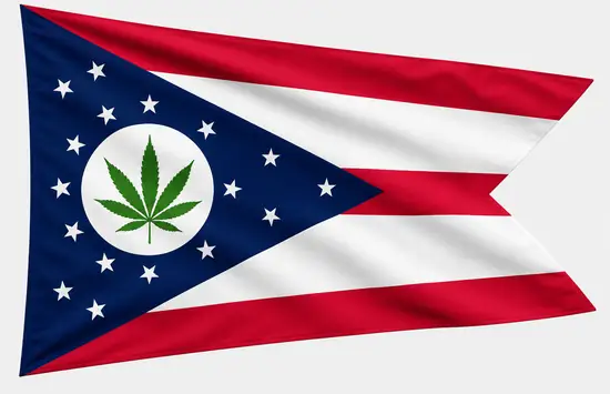 Ohio-style swallowtail flag with a green cannabis leaf replacing the central red circle, shown on a plain light background.