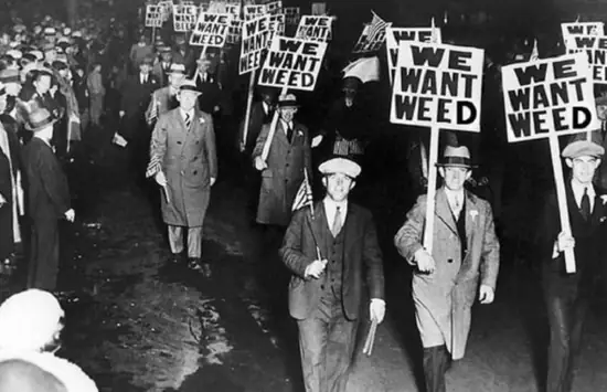 "We Want Weed" Protest photo