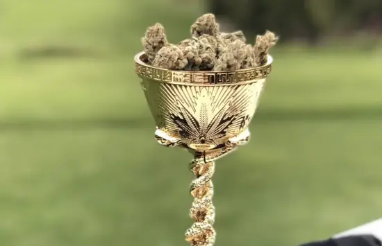 CANNABIS CUP
