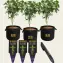 Barney's Farm Bag & Tag Kit, 5 Gallon - F1 Auto labels