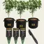 Barney's Farm Bag & Tag Kit, 5 Gallon - Feminized labels