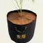 Fabric grow bag filled with soil, top angle