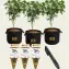 Barney's Farm Bag & Tag Kit, 5 Gallon - Regular labels