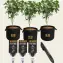 Barney's Farm Bag & Tag Kit, 5 Gallon - F1 Hybrid labels