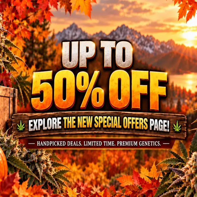 Special Offers Promo