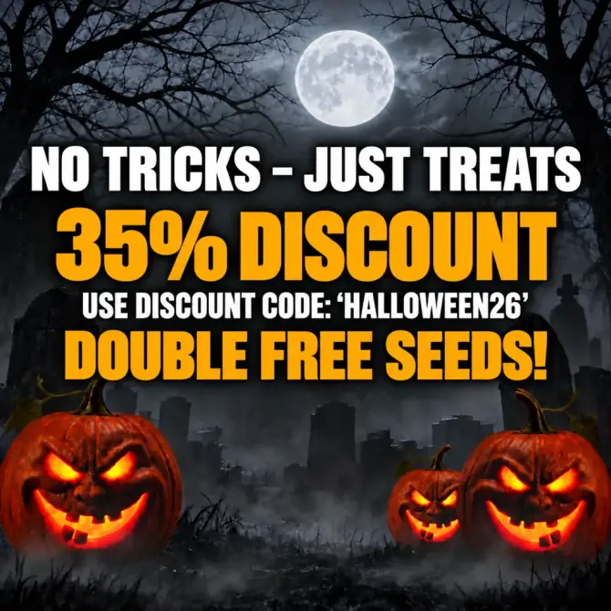 Product Page - Halloween 35% PROMO CODE