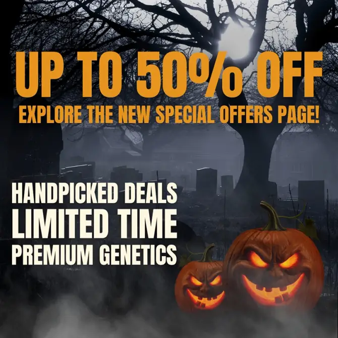 Product Page - Halloween Special Offers